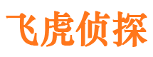 工农市侦探调查公司